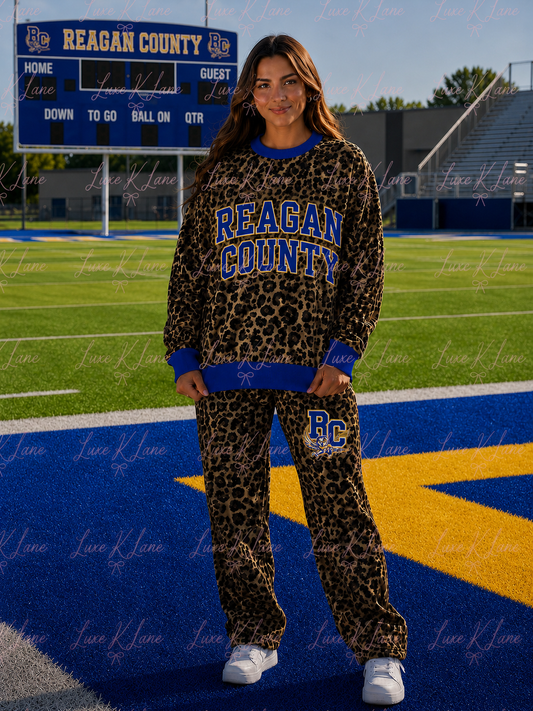 Reagan County Cheetah Sweater